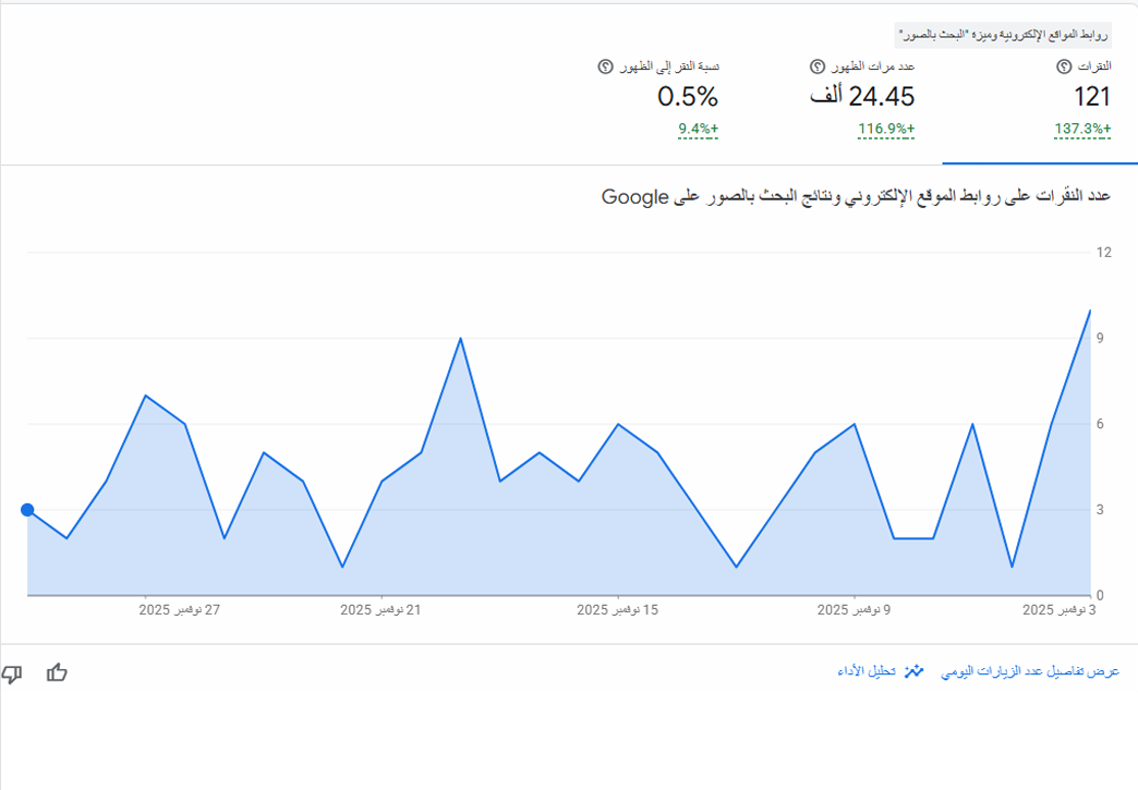 تدقيق وتحسين الموقع